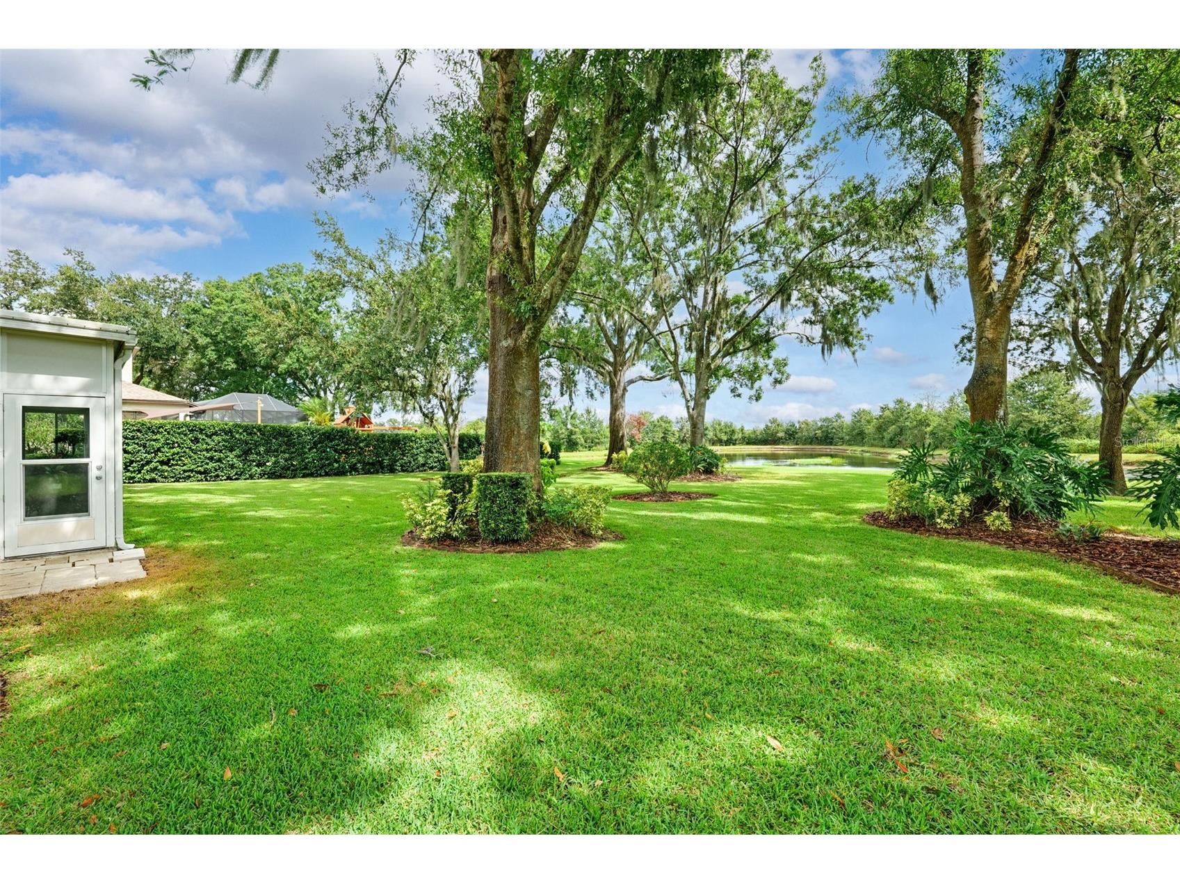 19737 Prince Benjamin Drive Lutz FL 33549 TB8487037 image38