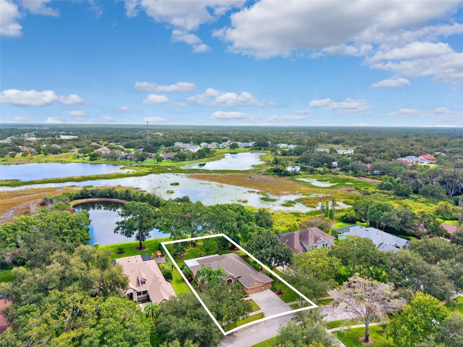 19737 Prince Benjamin Drive Lutz FL 33549 TB8487037 image45