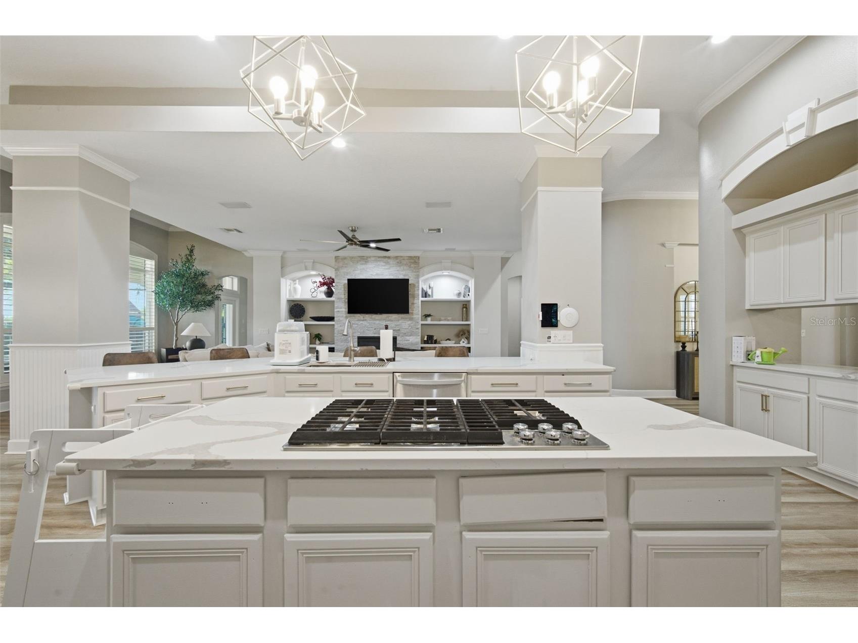 19739 Prince Benjamin Drive Lutz FL 33549 TB8490719 image10