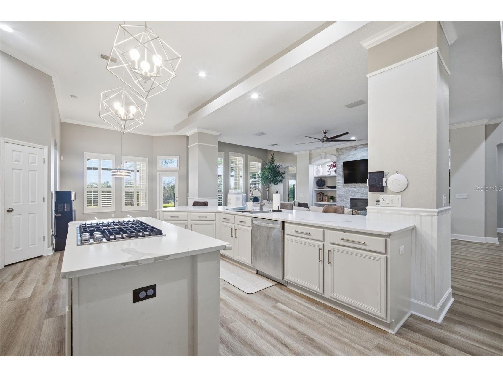 19739 Prince Benjamin Drive Lutz FL 33549 TB8490719 image14