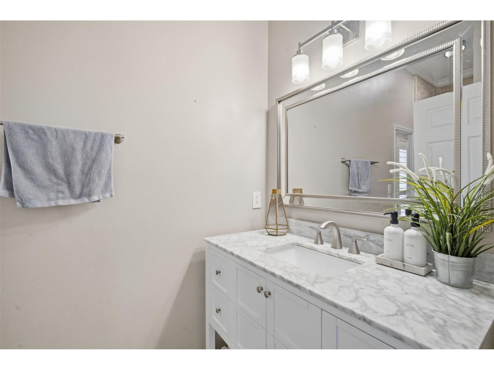19739 Prince Benjamin Drive Lutz FL 33549 TB8490719 image27