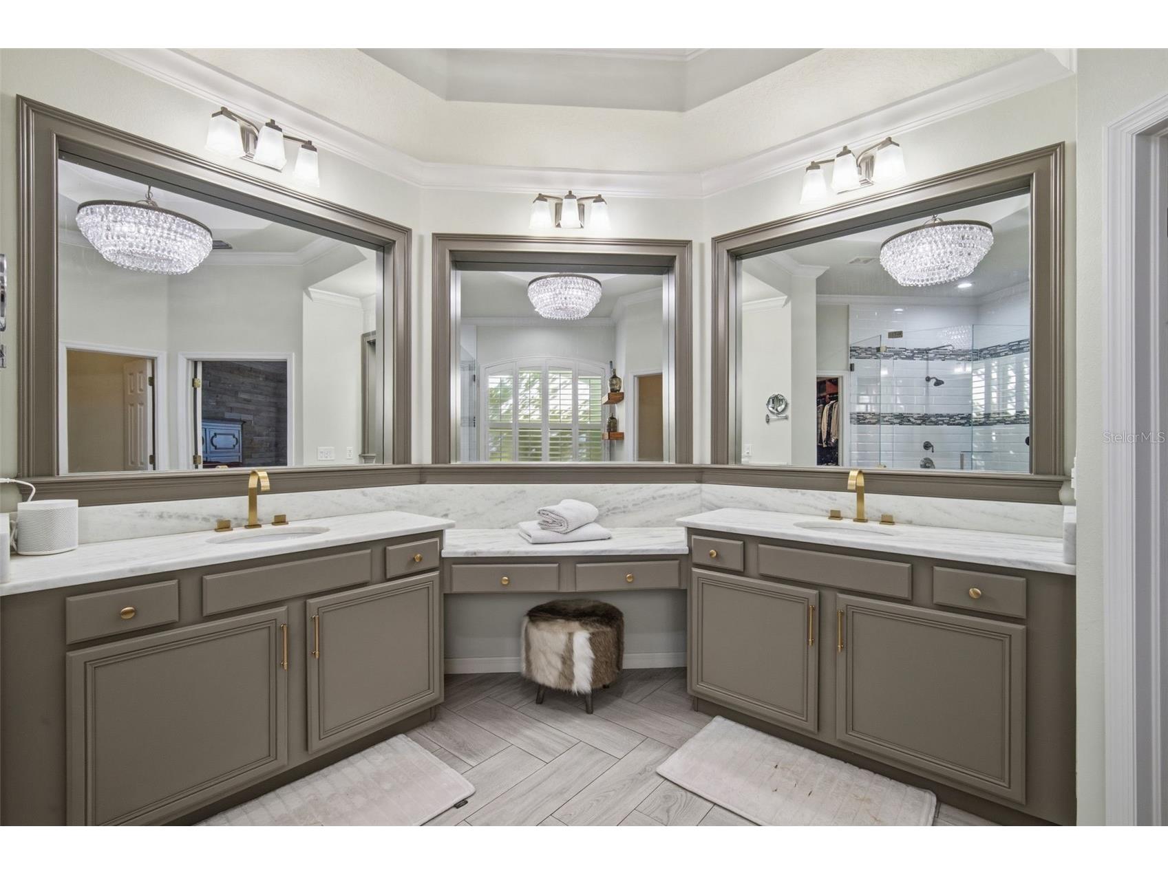 19739 Prince Benjamin Drive Lutz FL 33549 TB8490719 image33