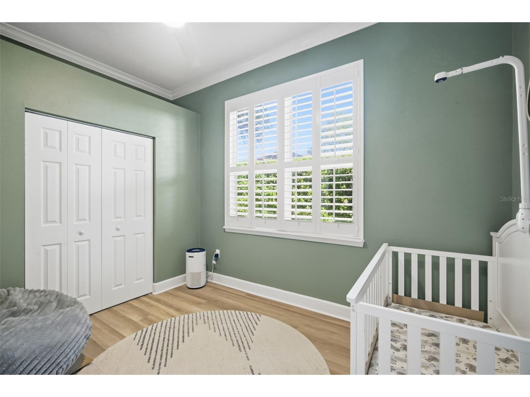 19739 Prince Benjamin Drive Lutz FL 33549 TB8490719 image41