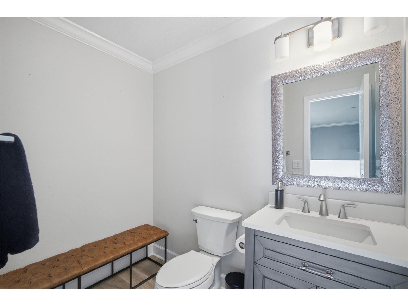 19739 Prince Benjamin Drive Lutz FL 33549 TB8490719 image48