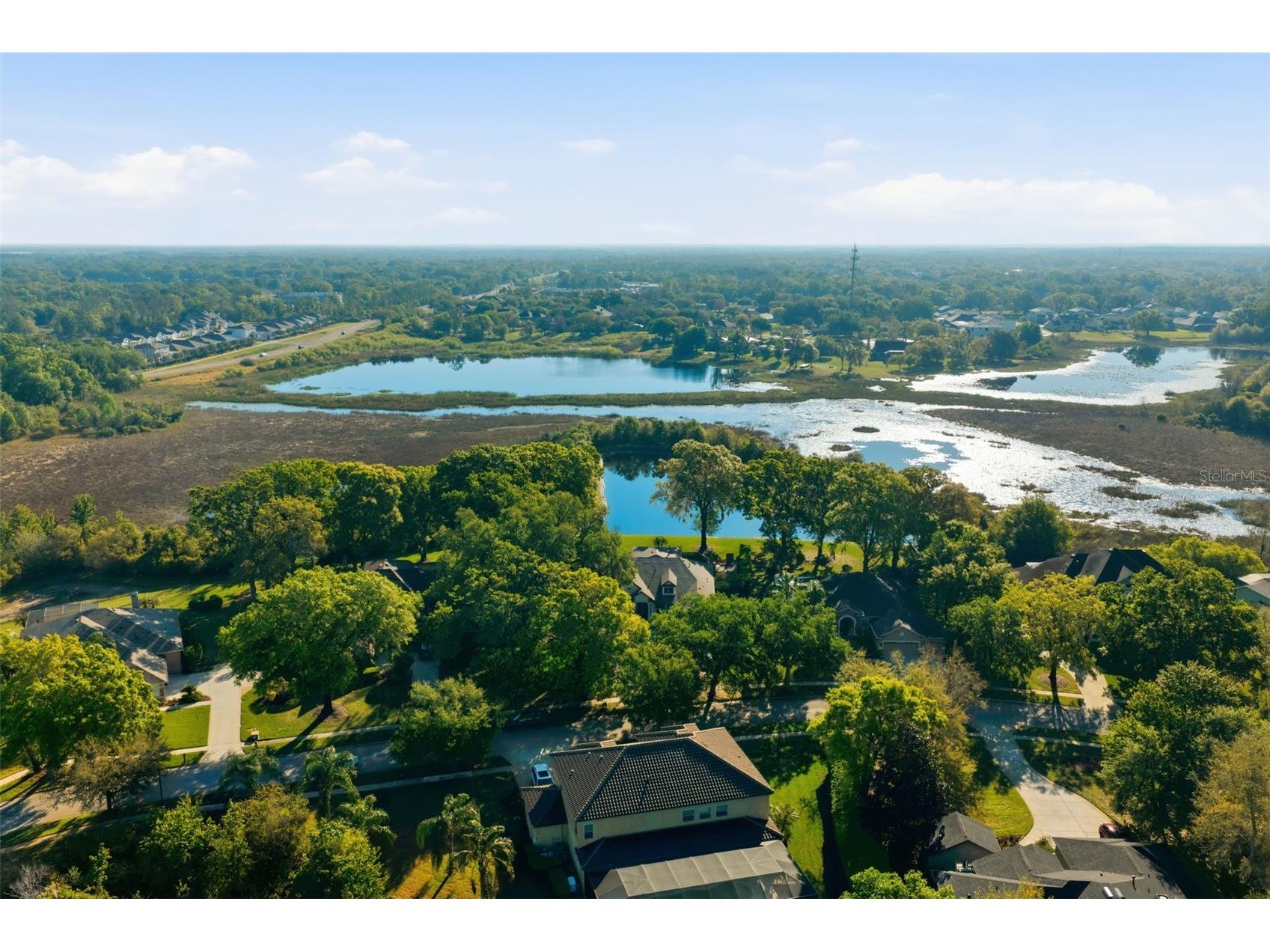 19739 Prince Benjamin Drive Lutz FL 33549 TB8490719 image59