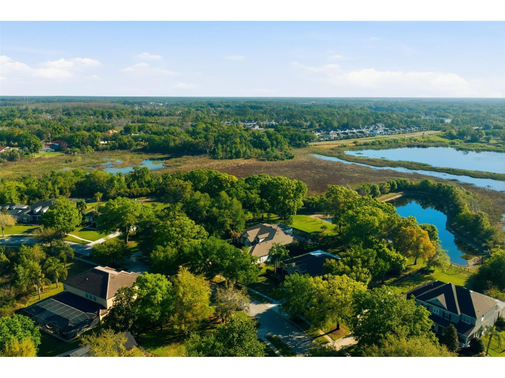 19739 Prince Benjamin Drive Lutz FL 33549 TB8490719 image60