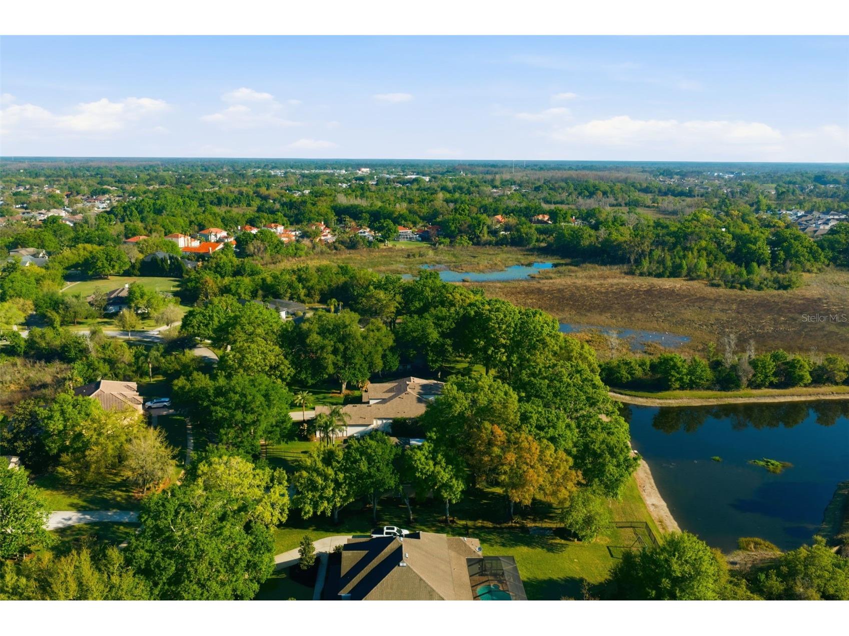 19739 Prince Benjamin Drive Lutz FL 33549 TB8490719 image61