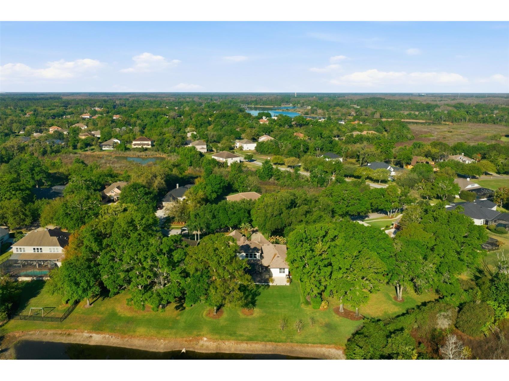 19739 Prince Benjamin Drive Lutz FL 33549 TB8490719 image63