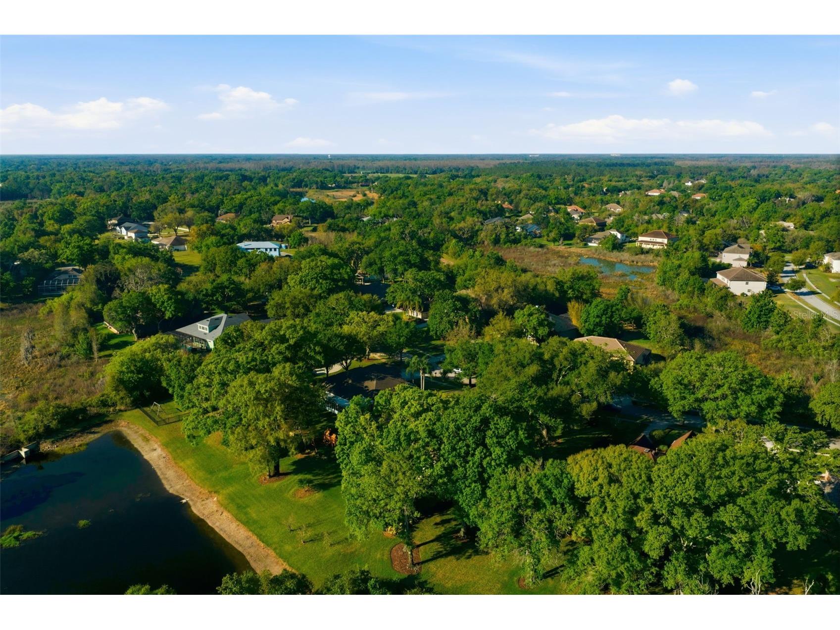 19739 Prince Benjamin Drive Lutz FL 33549 TB8490719 image64