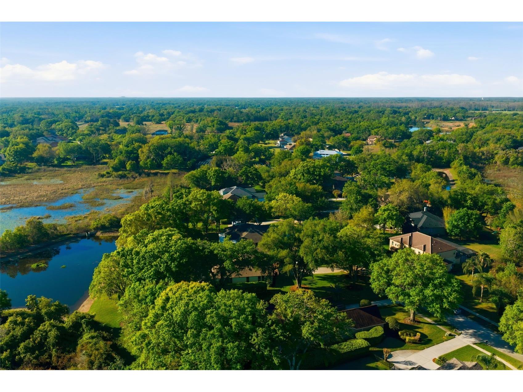 19739 Prince Benjamin Drive Lutz FL 33549 TB8490719 image65