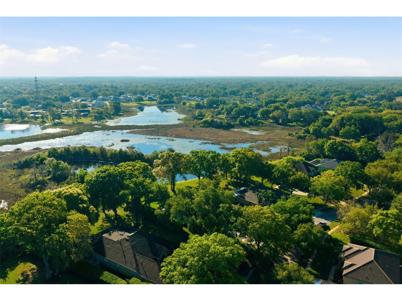 19739 Prince Benjamin Drive Lutz FL 33549 TB8490719 image66