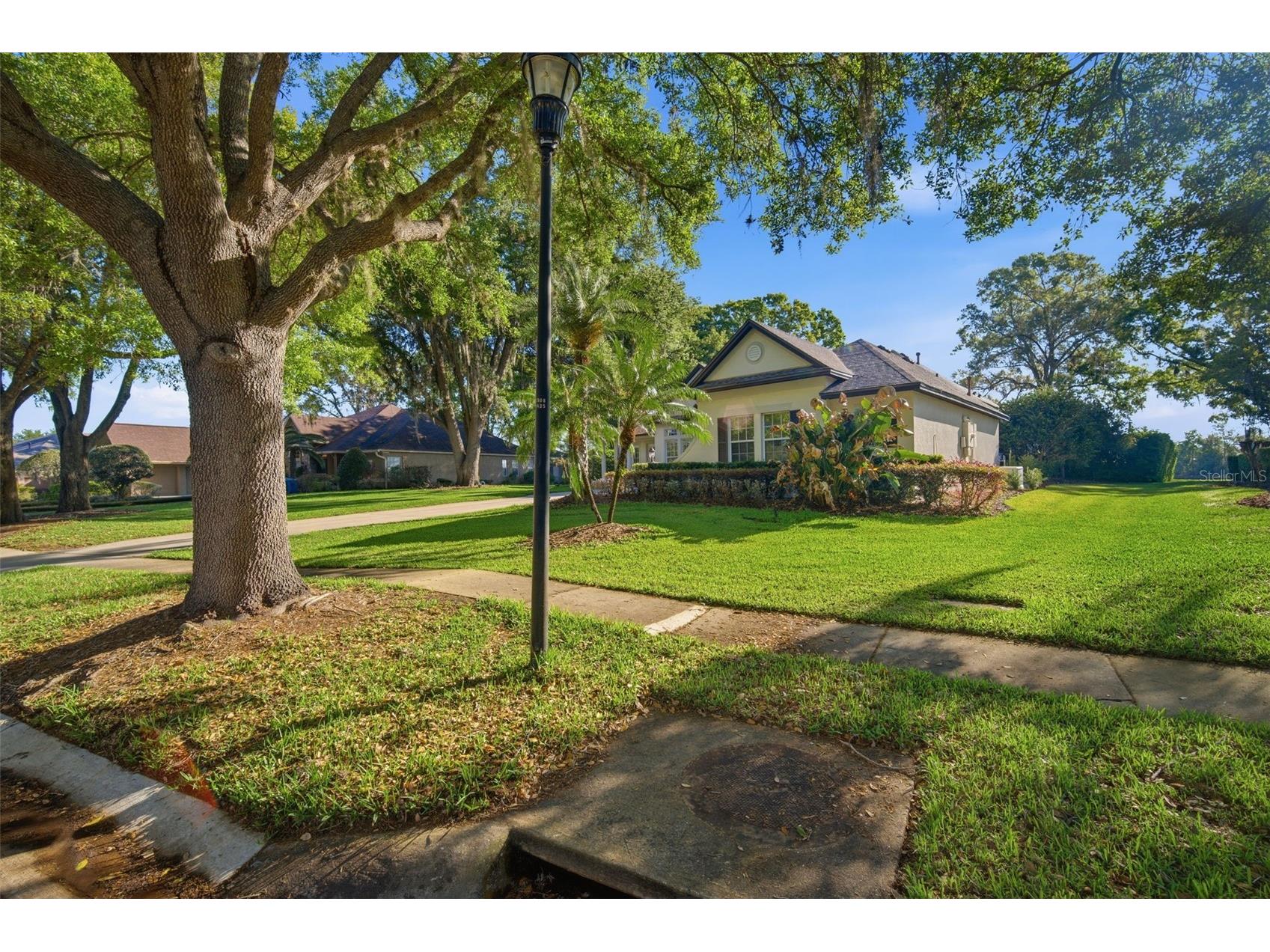 19739 Prince Benjamin Drive Lutz FL 33549 TB8490719 image68