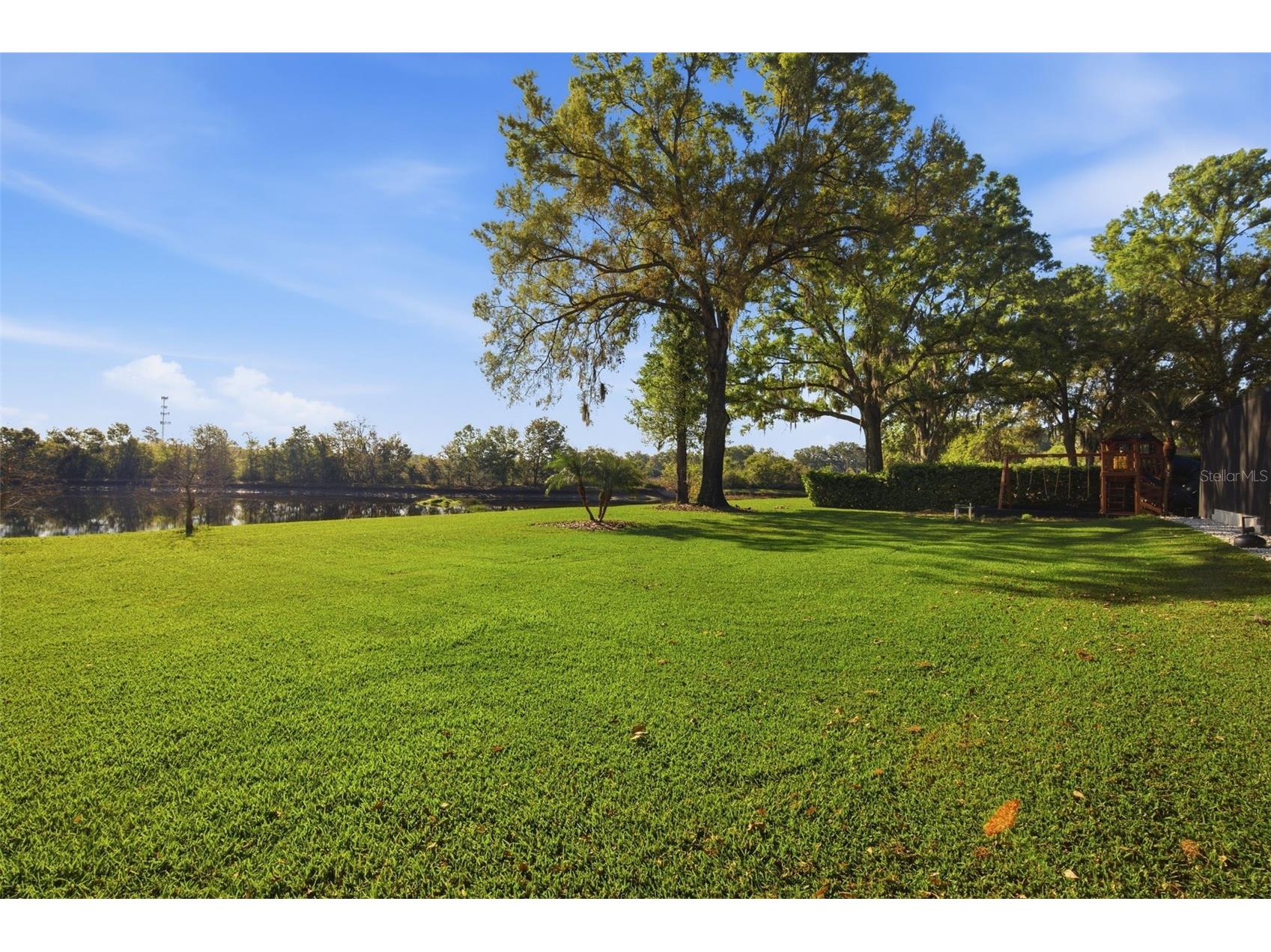 19739 Prince Benjamin Drive Lutz FL 33549 TB8490719 image8