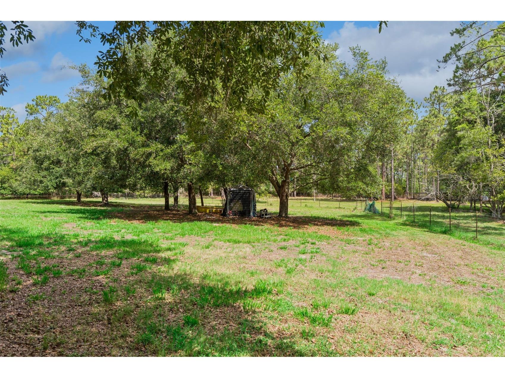 19743 Quarterly Parkway Orlando FL 32833 O6412859 image9