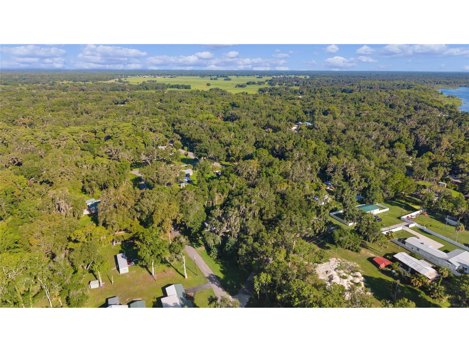 1975 E Cr412 Road Lake Panasoffkee FL 33538 O6422038 image5