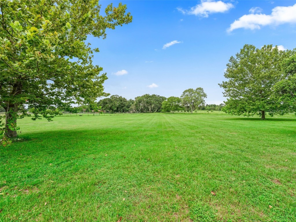 1975 SE 150th Street Summerfield FL 34491 OM706008 image50