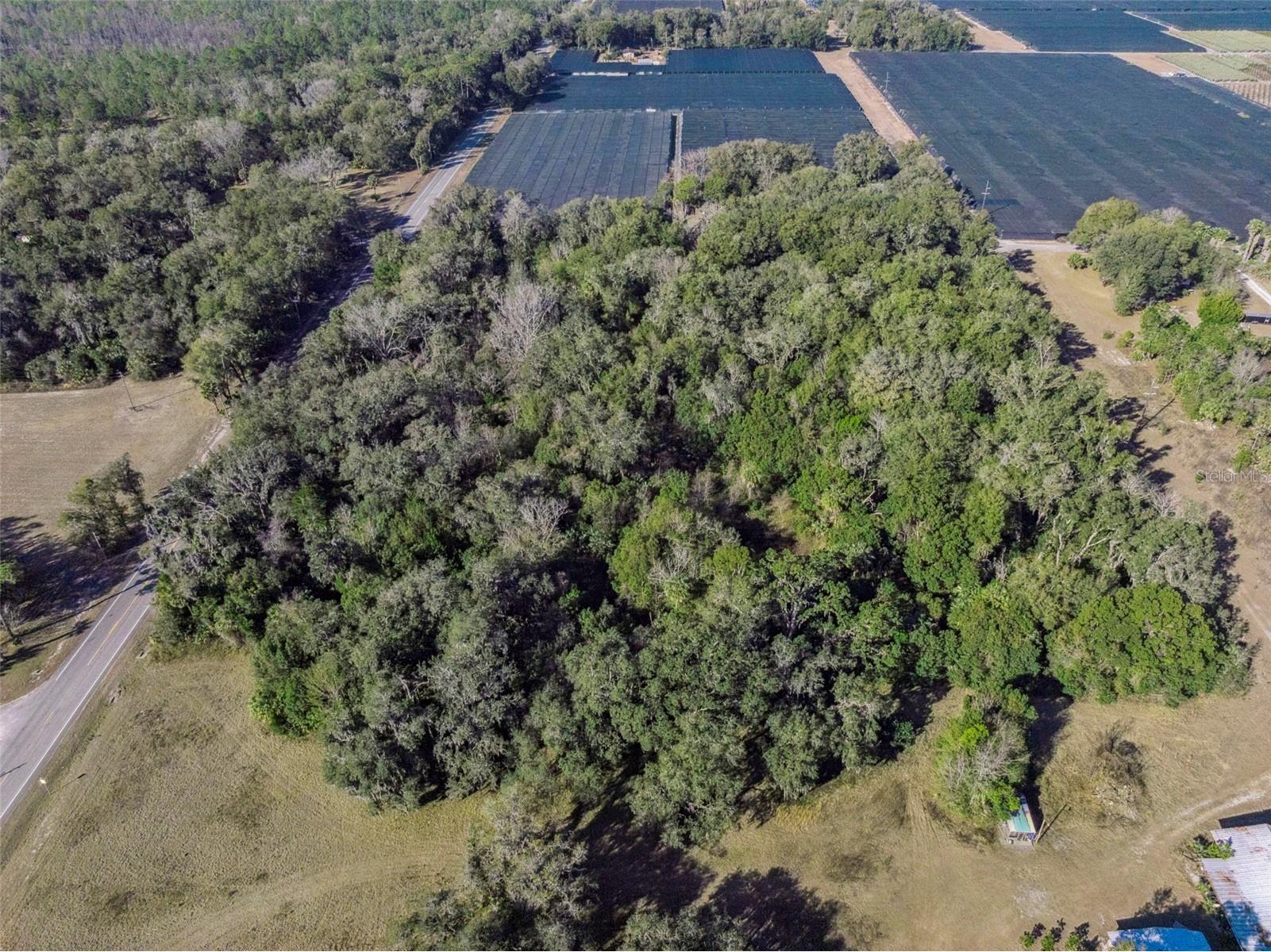 1975 Stone Road Pierson FL 32180 V4947295 image11