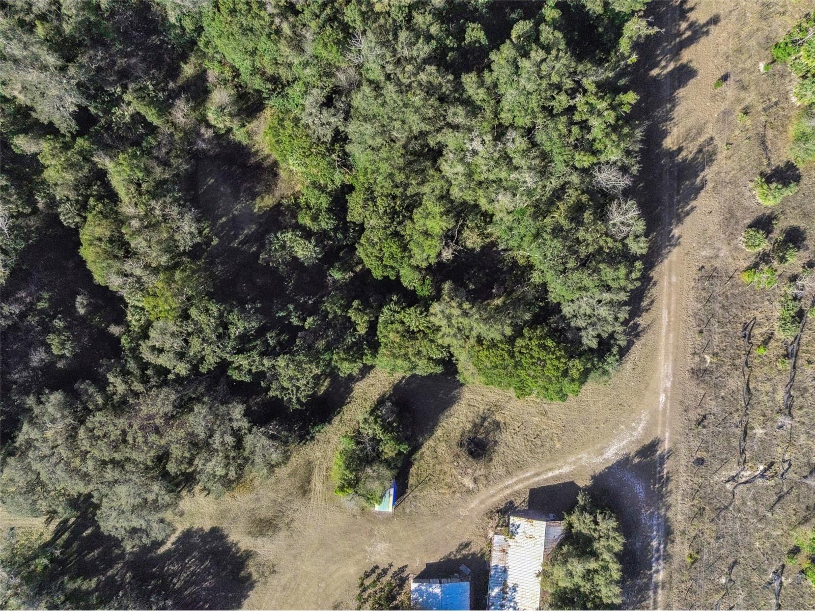 1975 Stone Road Pierson FL 32180 V4947295 image13