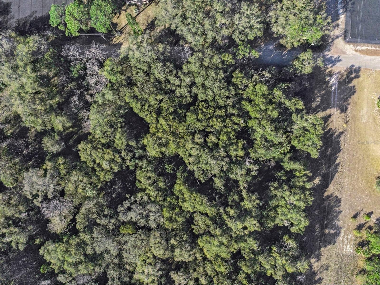 1975 Stone Road Pierson FL 32180 V4947295 image14