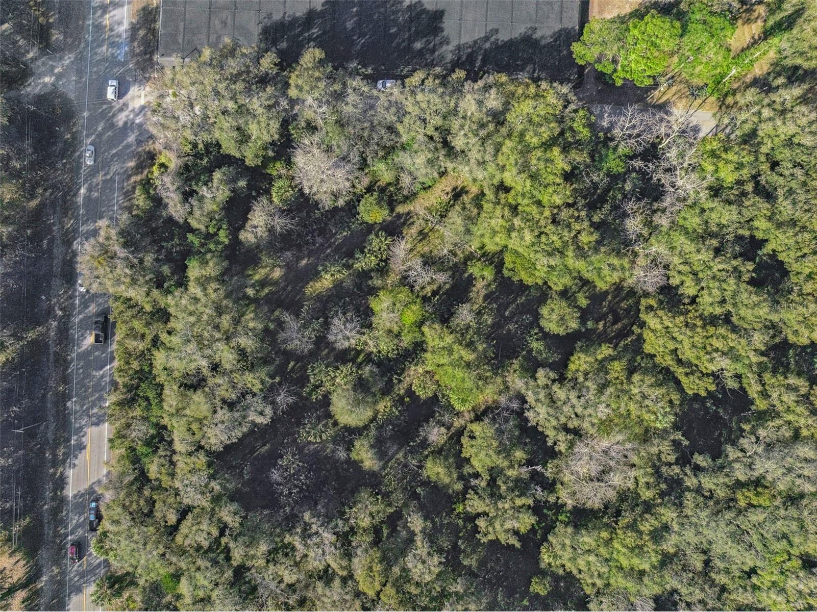 1975 Stone Road Pierson FL 32180 V4947295 image15