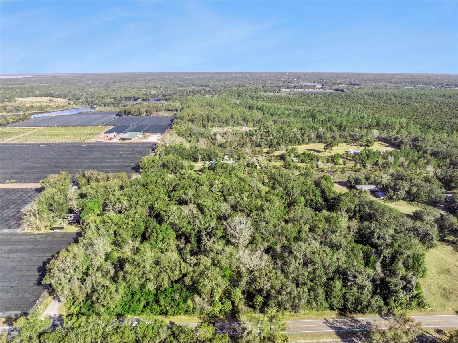 1975 Stone Road Pierson FL 32180 V4947295 image16