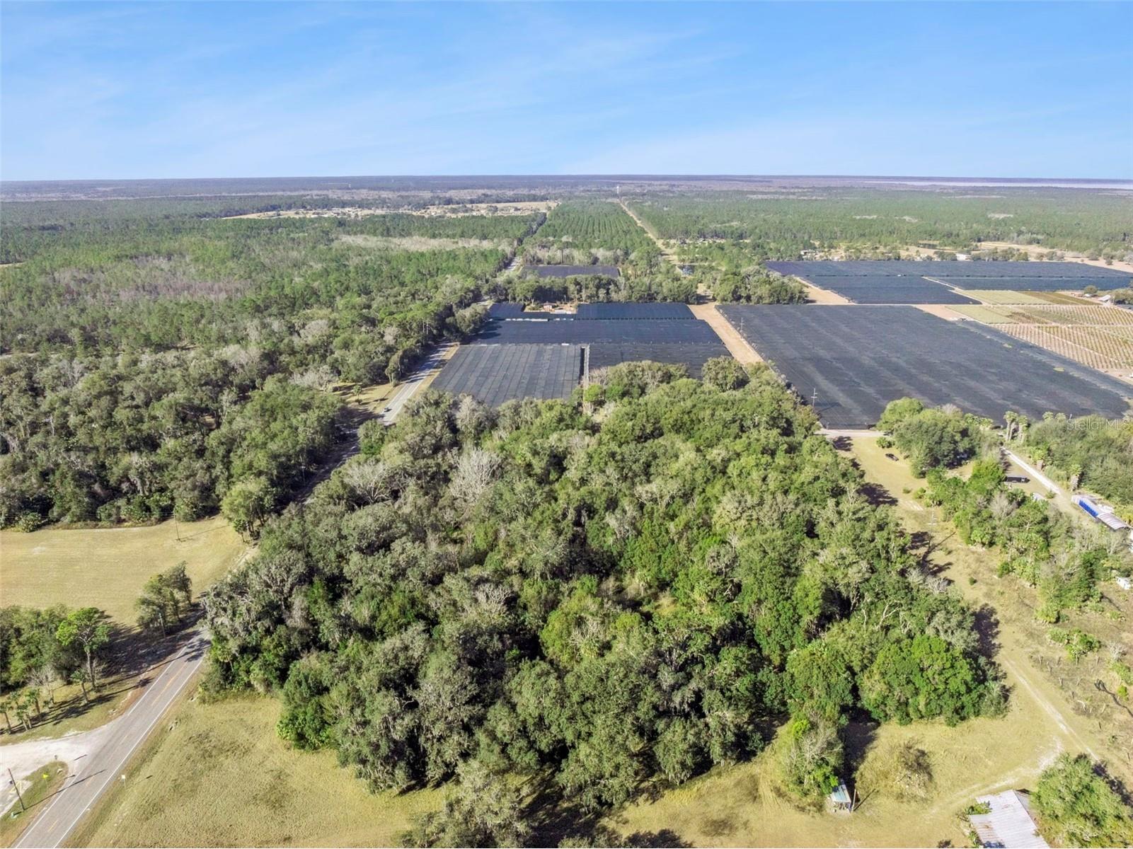 1975 Stone Road Pierson FL 32180 V4947295 image17