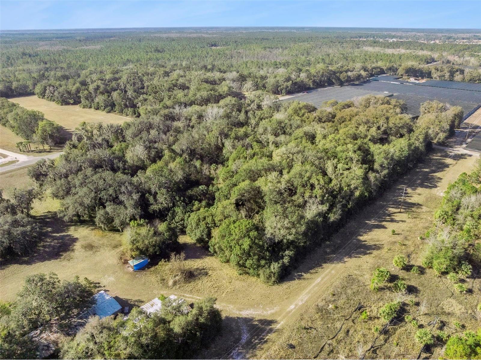 1975 Stone Road Pierson FL 32180 V4947295 image6