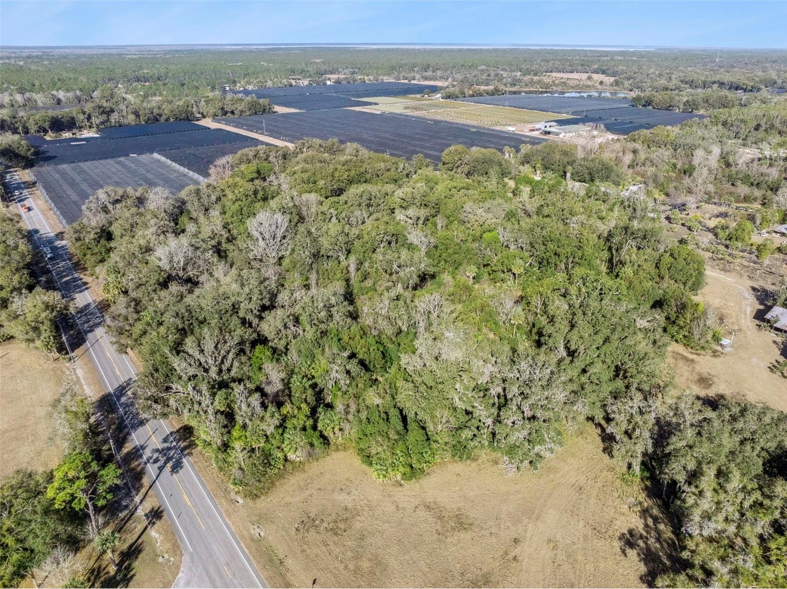 1975 Stone Road Pierson FL 32180 V4947295 image7