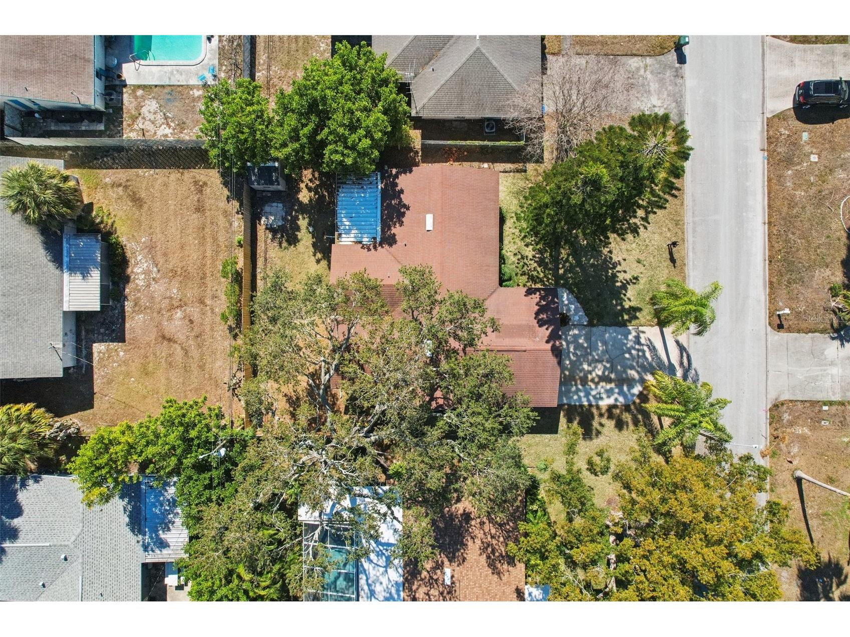 1975 Temple Terrace Clearwater FL 33764 TB8470794 image66