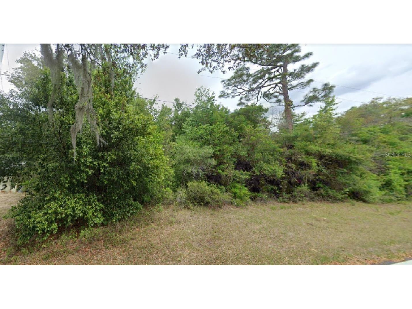 1975 W Country Club Boulevard Citrus Springs FL 34434 O6121151 image1