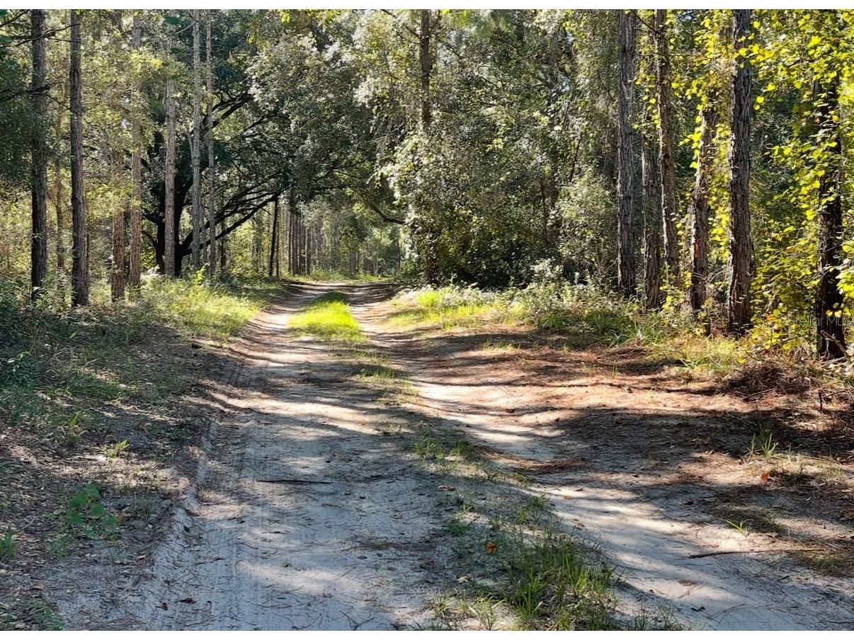 19751 County Road 33 Groveland FL 34736 G5108844 image15