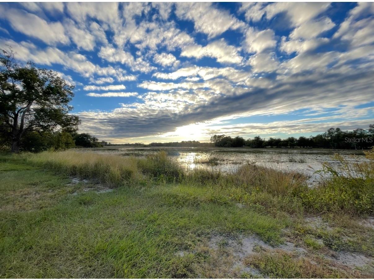 19751 County Road 33 Groveland FL 34736 G5108844 image17