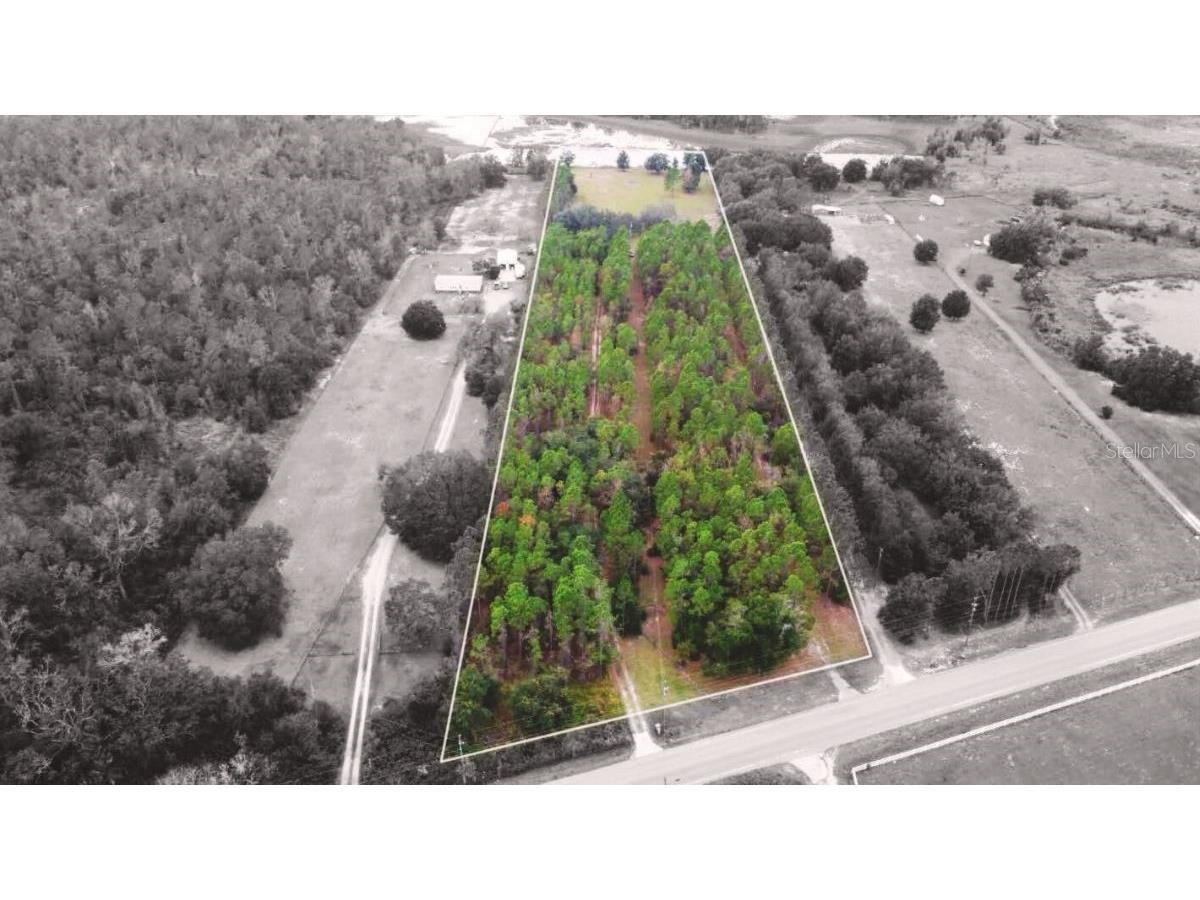 19751 County Road 33 Groveland FL 34736 G5108844 image2
