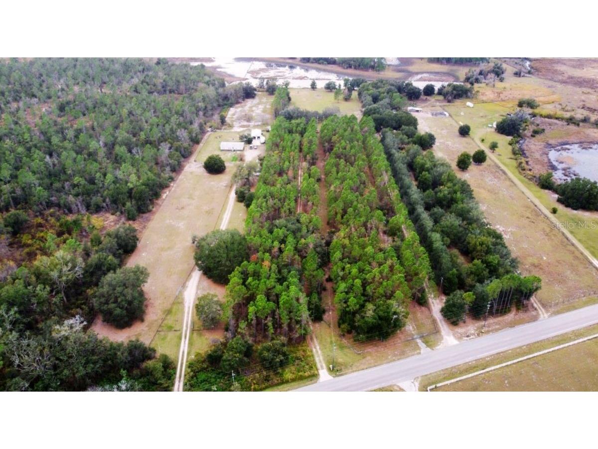 19751 County Road 33 Groveland FL 34736 G5108844 image3