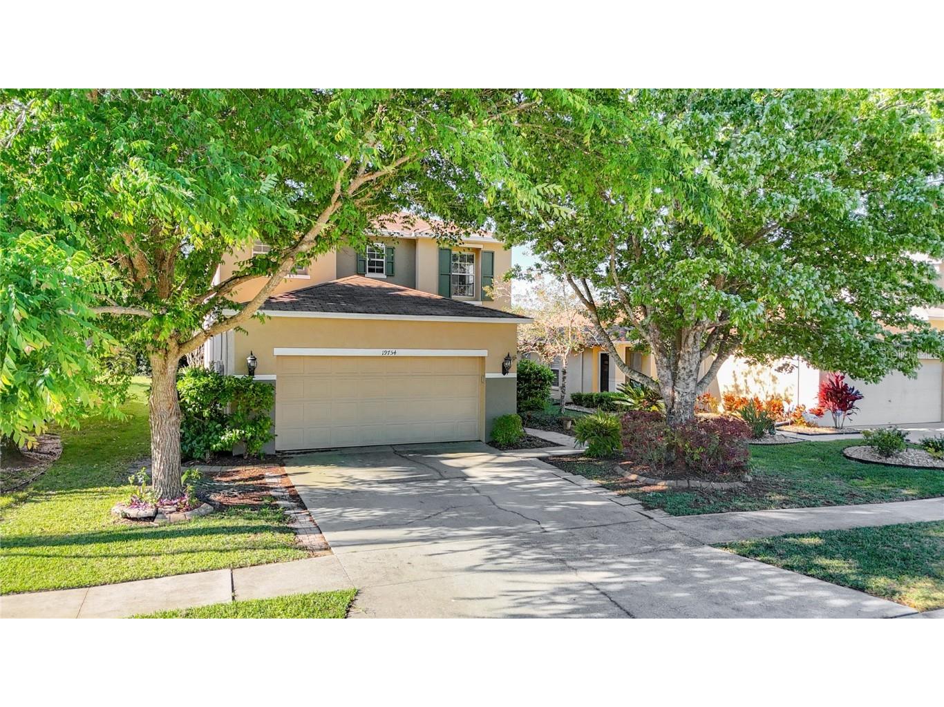 19754 Timberbluff Drive Land O Lakes FL 34638 U8235759 image1