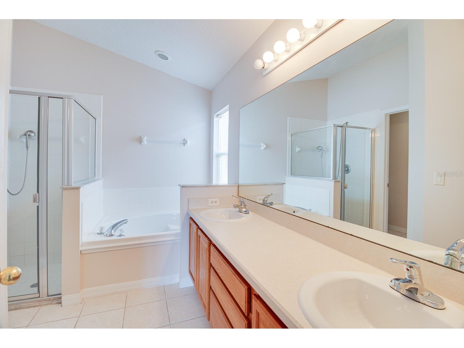 19756 Glen Elm Way Orlando FL 32833 O6412975 image21