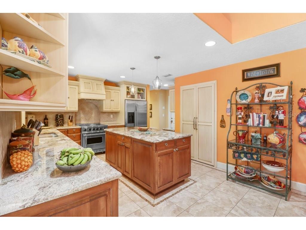 1976 Dunloe Circle Dunedin FL 34698 TB8525649 image15