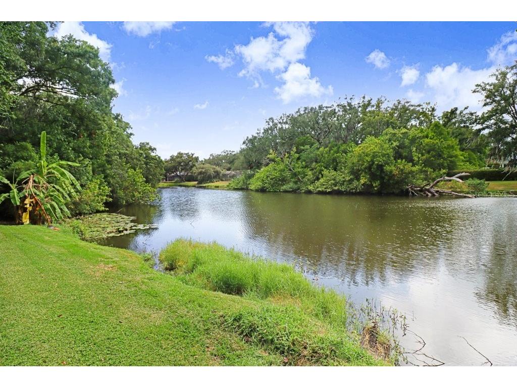 1976 Dunloe Circle Dunedin FL 34698 TB8525649 image60
