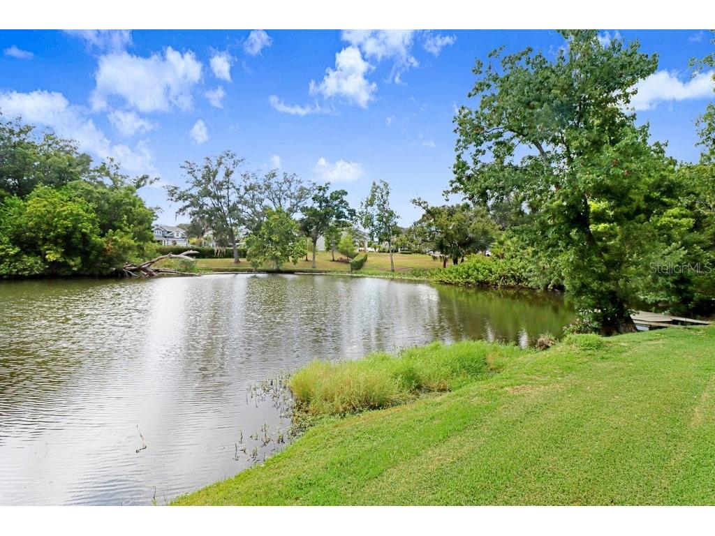 1976 Dunloe Circle Dunedin FL 34698 TB8525649 image61