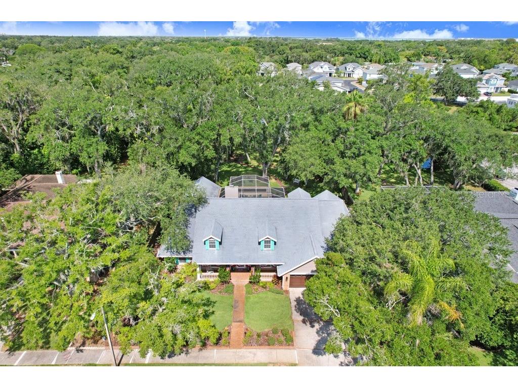 1976 Dunloe Circle Dunedin FL 34698 TB8525649 image67