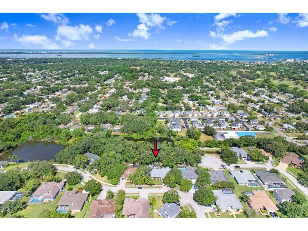 1976 Dunloe Circle Dunedin FL 34698 TB8525649 image68