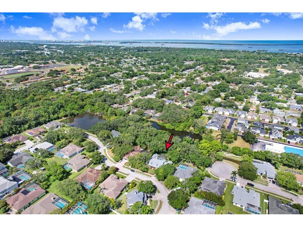 1976 Dunloe Circle Dunedin FL 34698 TB8525649 image69