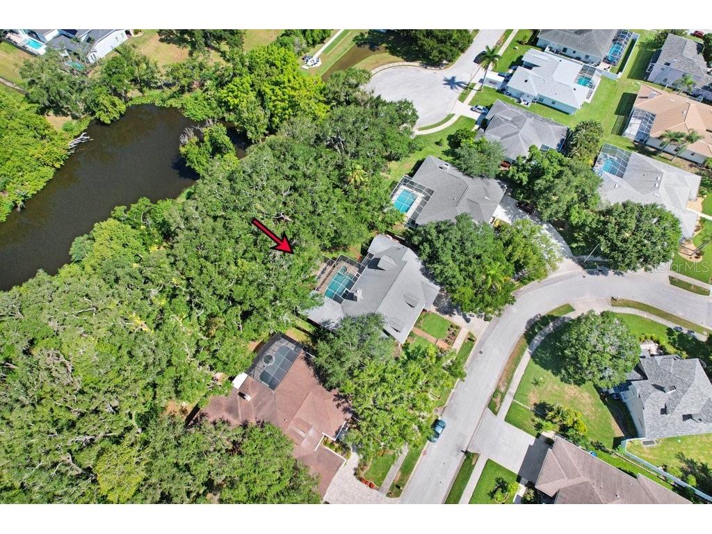 1976 Dunloe Circle Dunedin FL 34698 TB8525649 image70