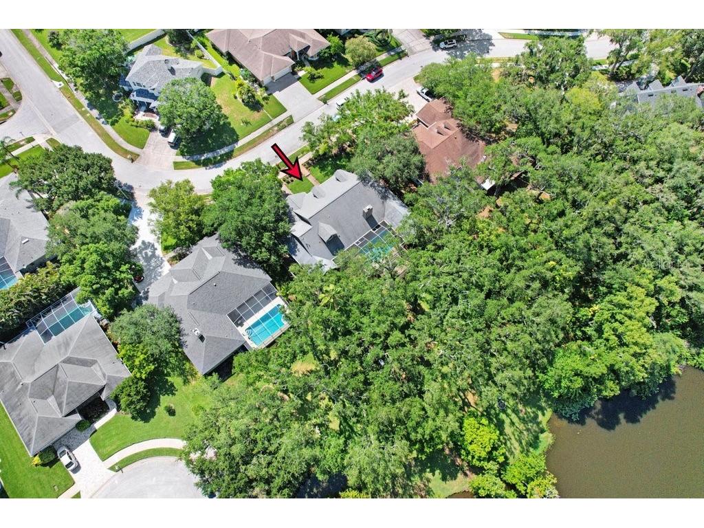 1976 Dunloe Circle Dunedin FL 34698 TB8525649 image71