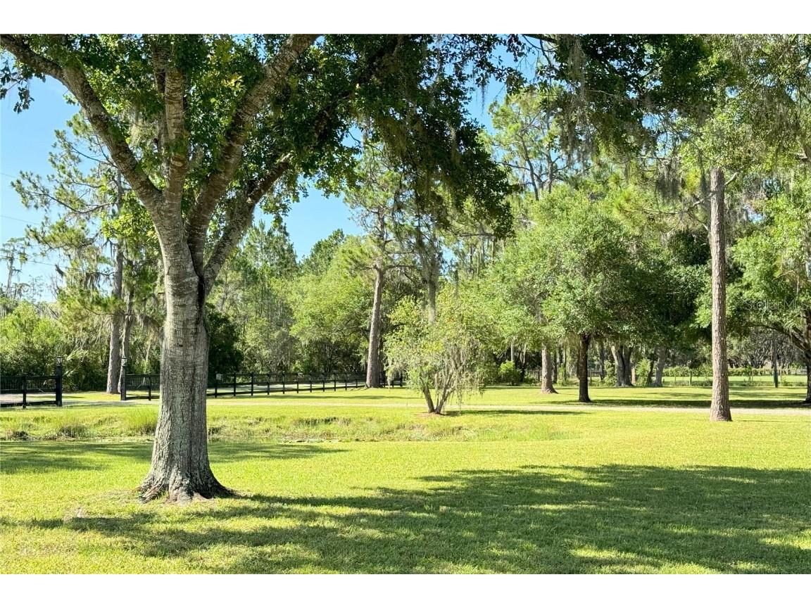 1976 Holy Cow Road Polk City FL 33868 P4935138 image35