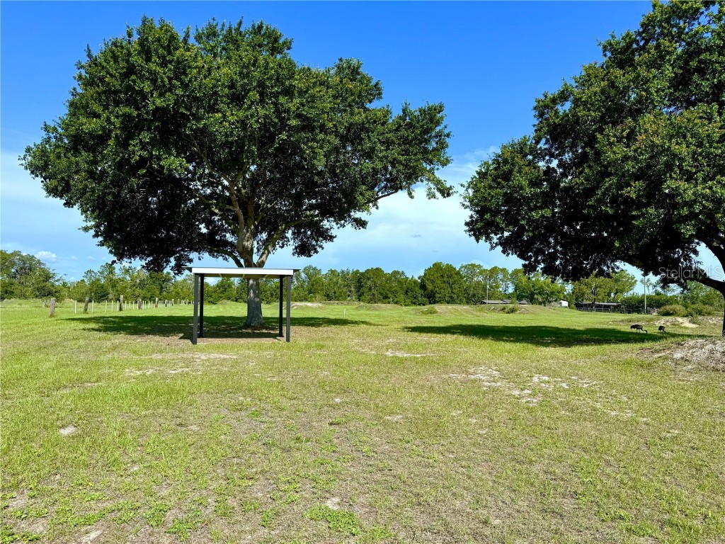 1976 Holy Cow Road Polk City FL 33868 P4935138 image39