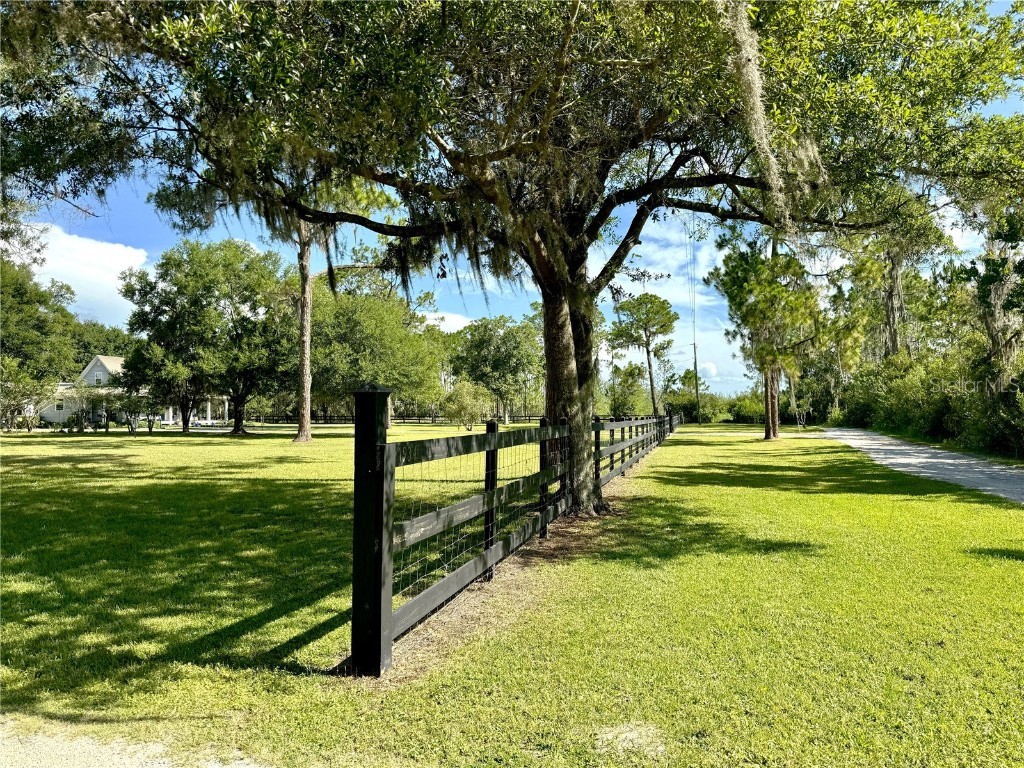 1976 Holy Cow Road Polk City FL 33868 P4935138 image4