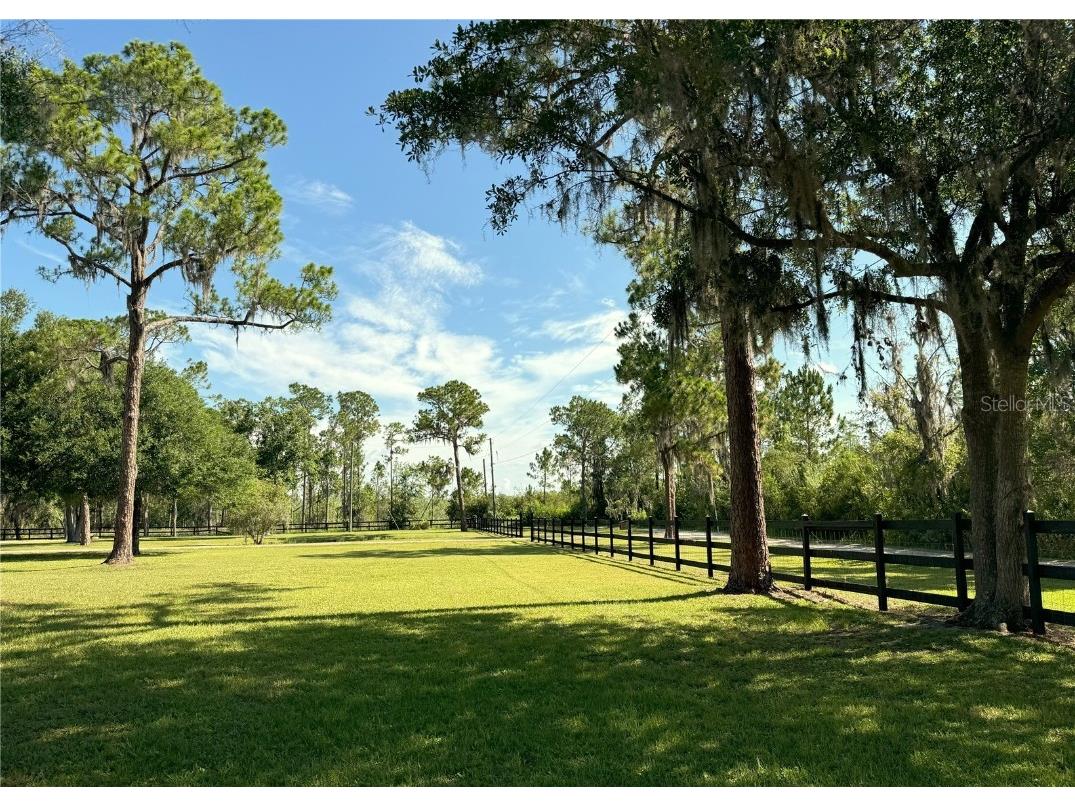 1976 Holy Cow Road Polk City FL 33868 P4935138 image40