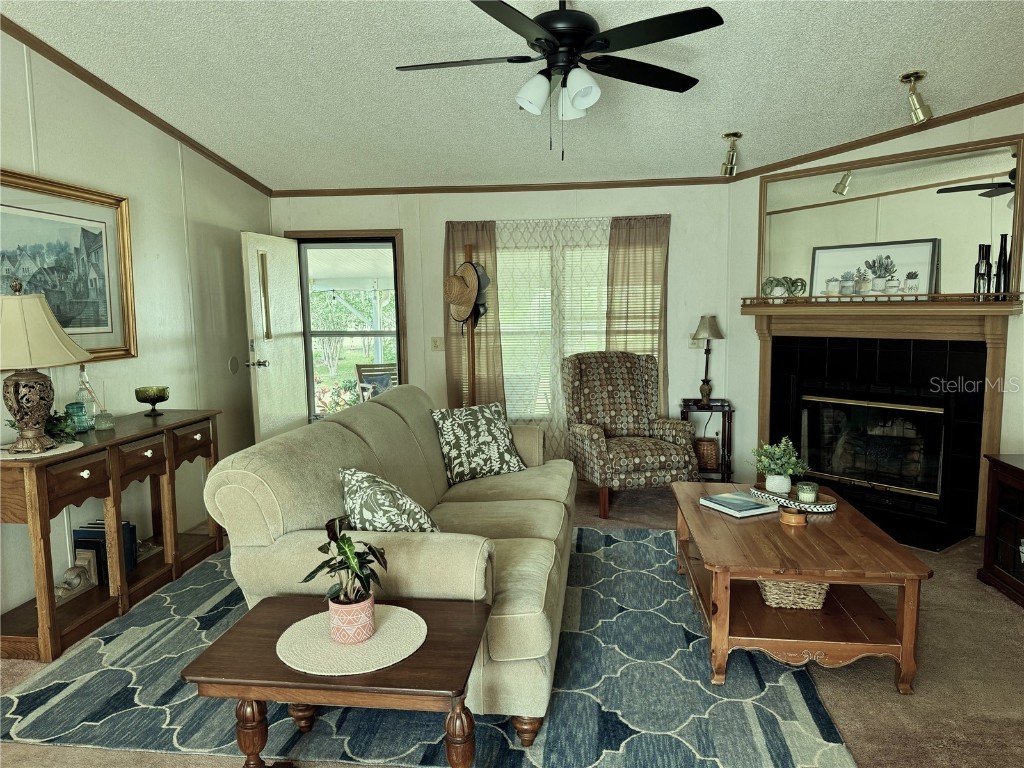 1976 Holy Cow Road Polk City FL 33868 P4935138 image44