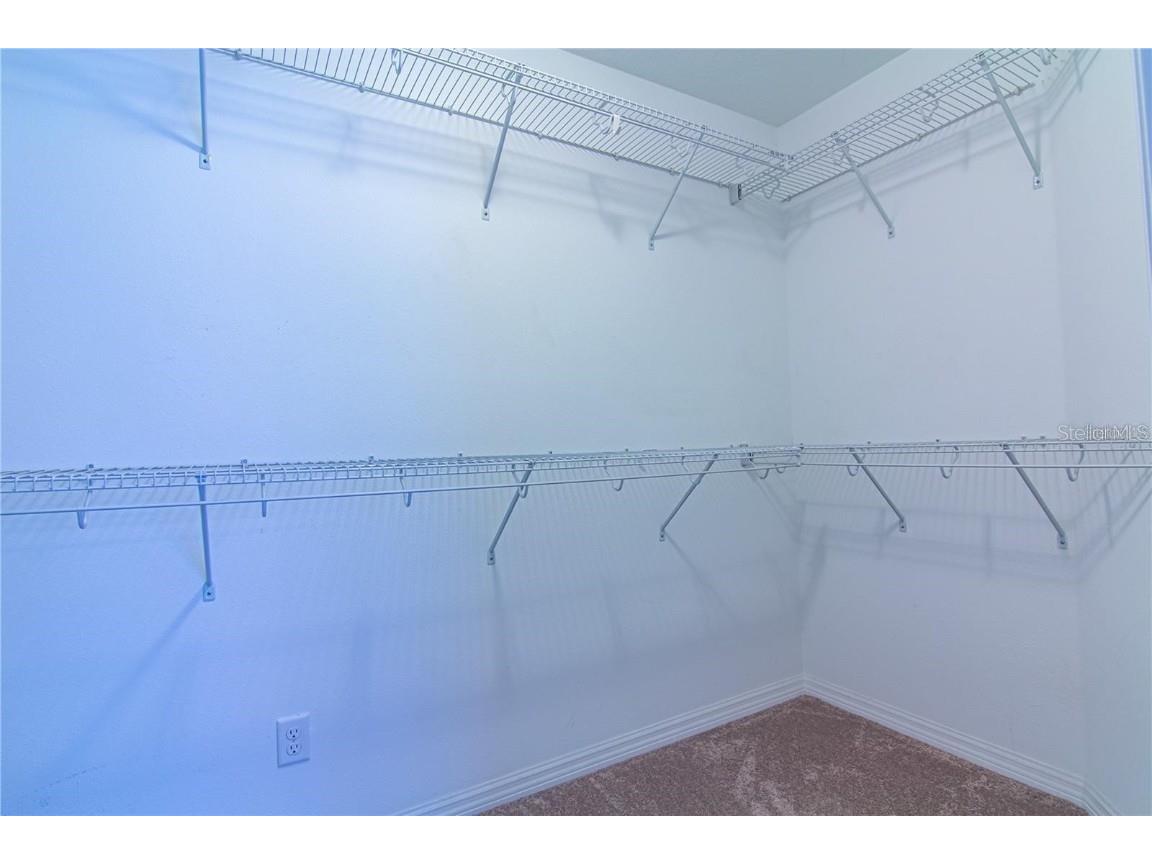 1977 Nature View Drive Lutz FL 33558 TB8452212 image17